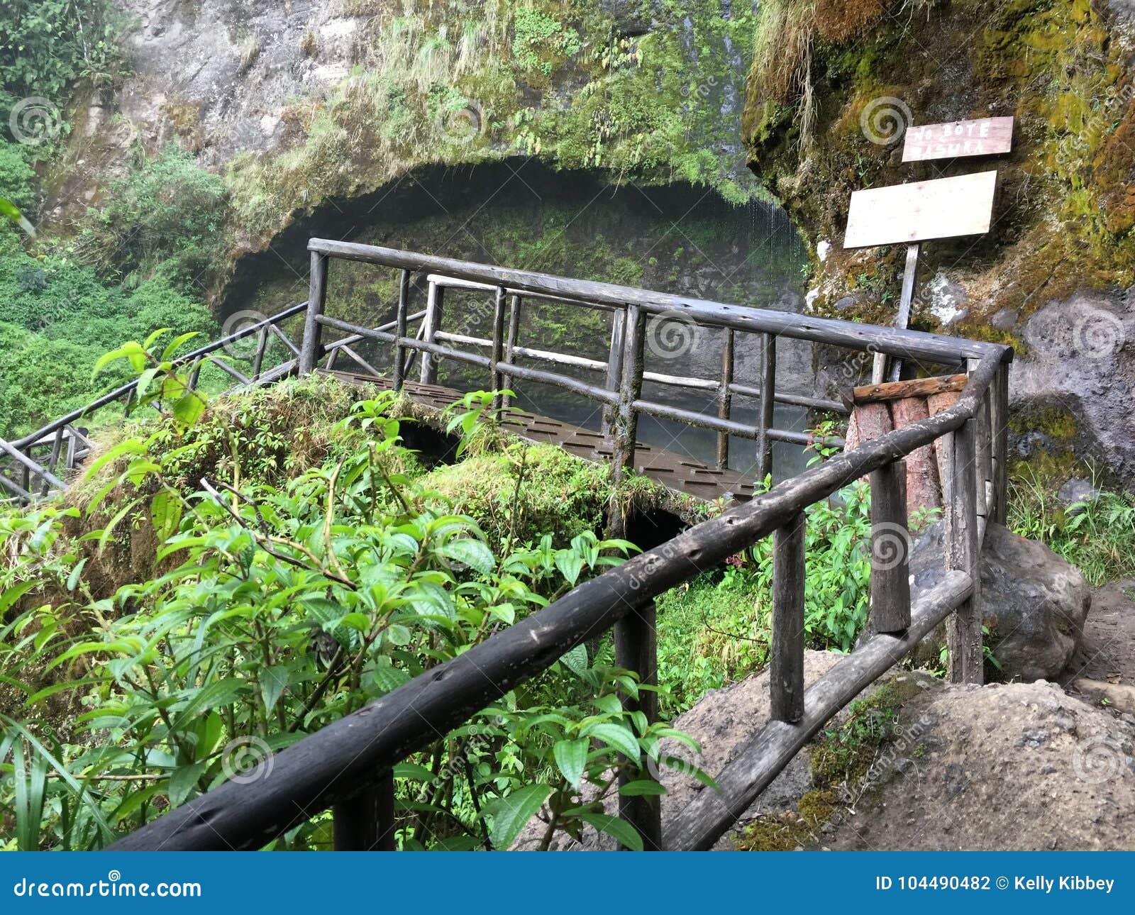 Bridge Beneath El Chorro Waterfall Ecuador Stock Photo Image Of