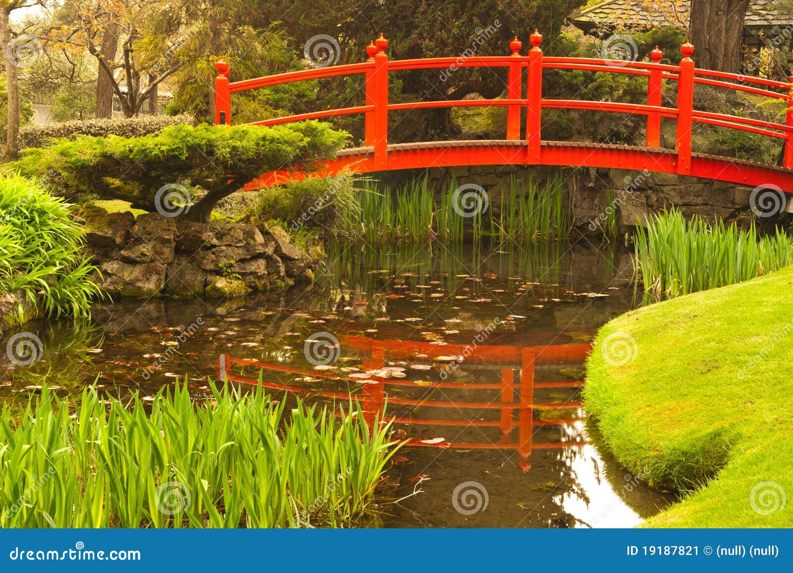 Bridge and bonsai stock image. Image of flora, national 19187821