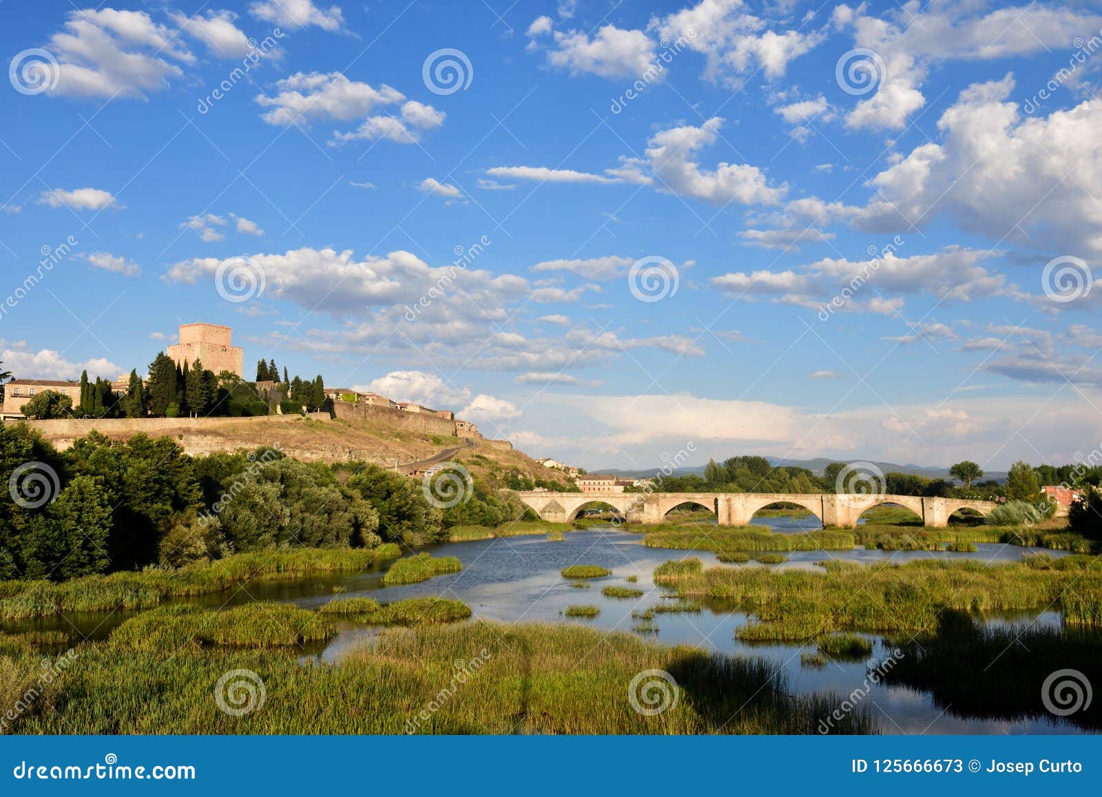 bridge and the castle of henry ii of castile 14th centu