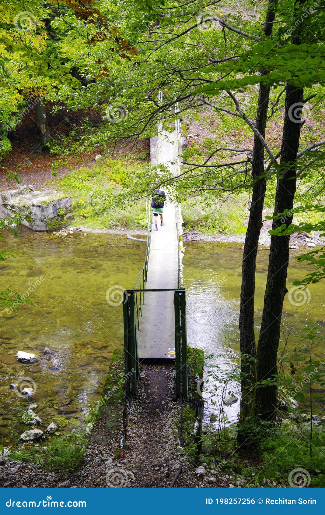 bridge in forest over cerna river, romania