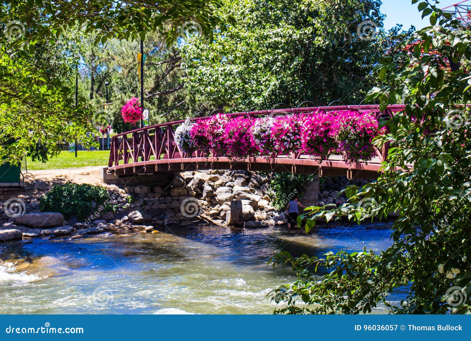 bridge with hanging flowers on truckee river in reno, nevada