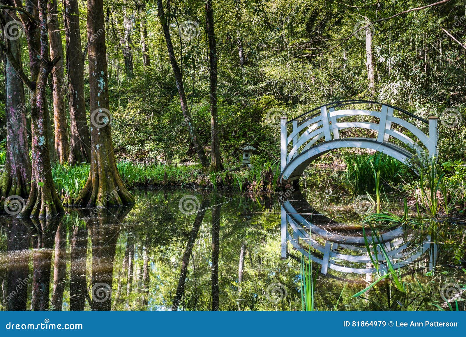 Bridge at Magnolia Gardens, Charleston SC Stock Image Image of