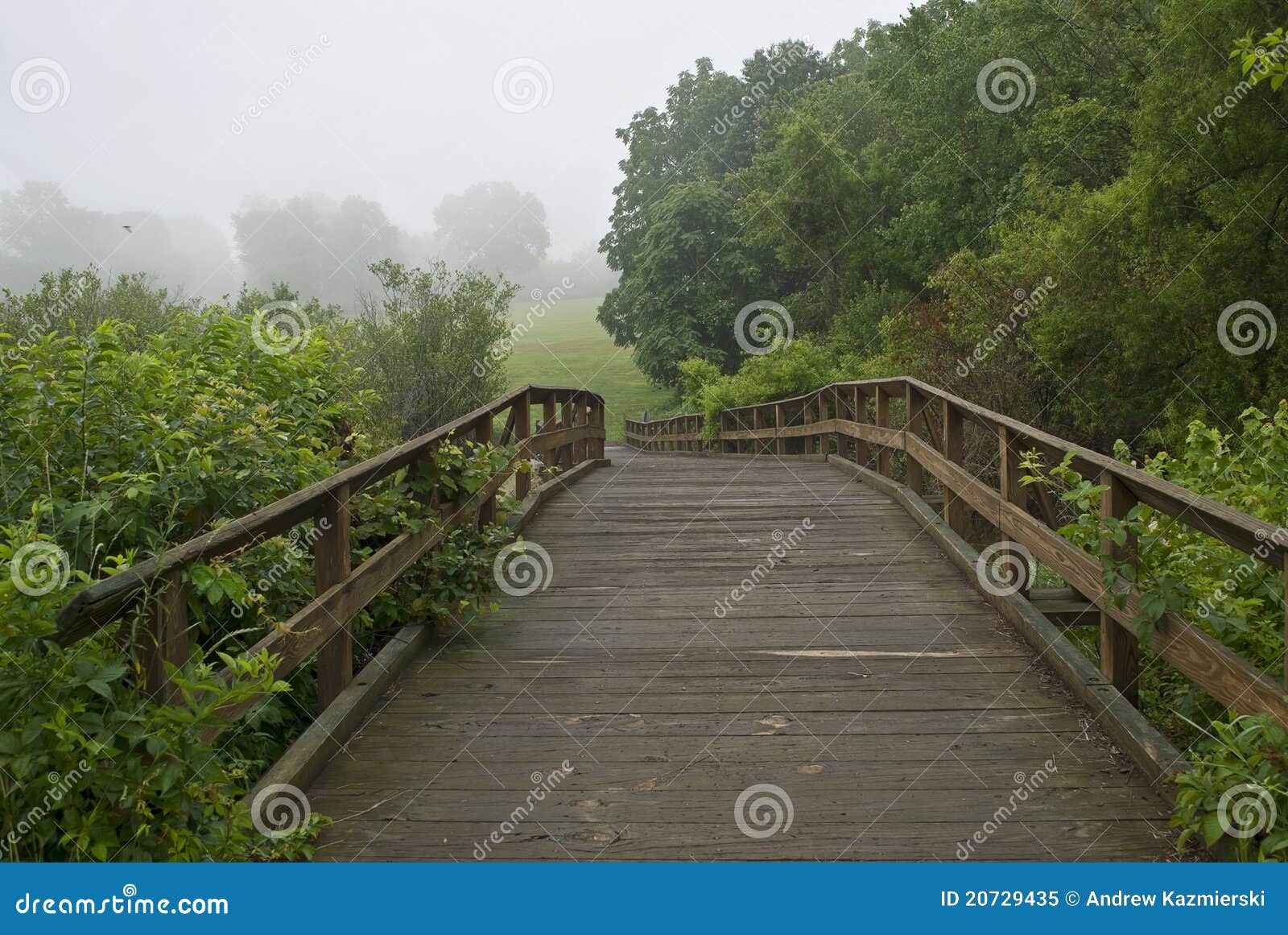 Bridge and Meadow stock image. Image of park, weather 20729435
