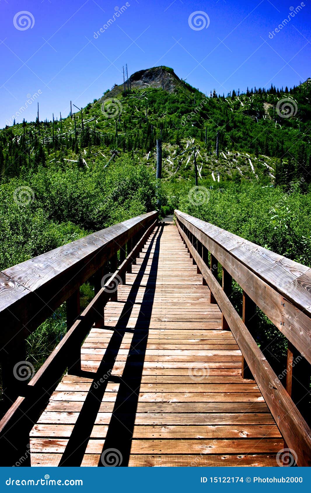 Bridge at Mt St Helens stock photo. Image of blue, america 15122174