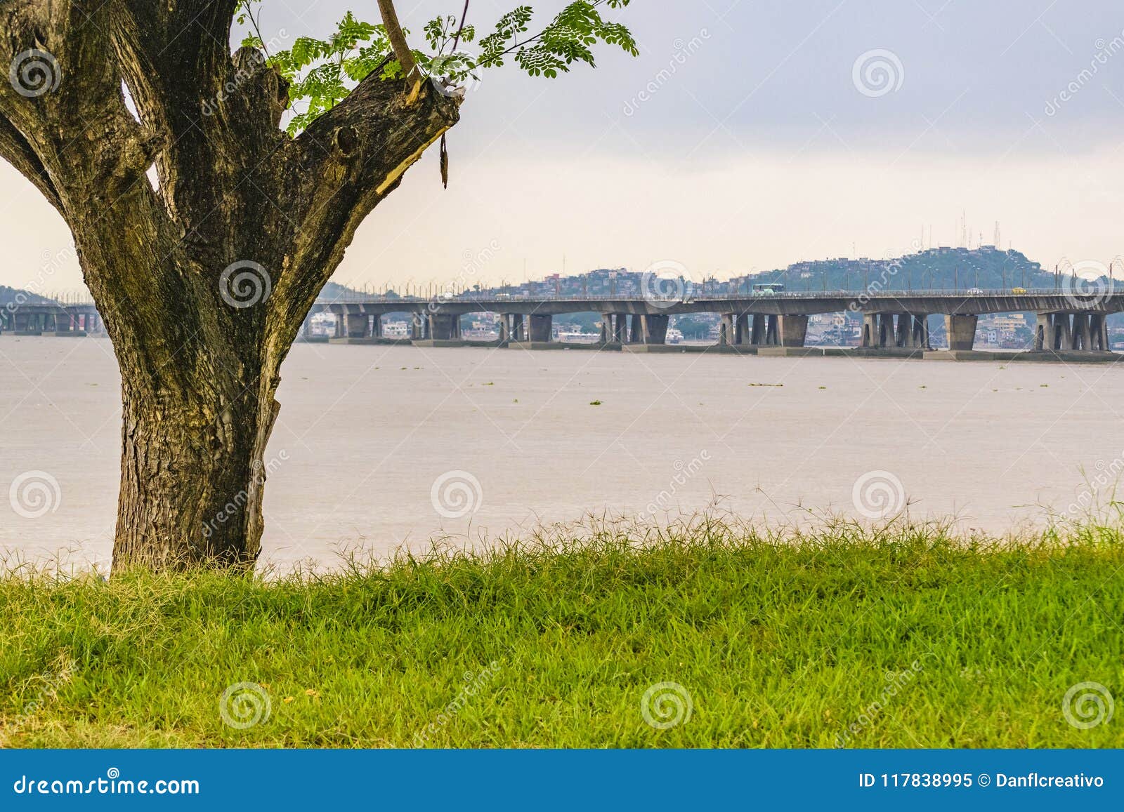 bridge over babahayo river, guayaquil, ecuador