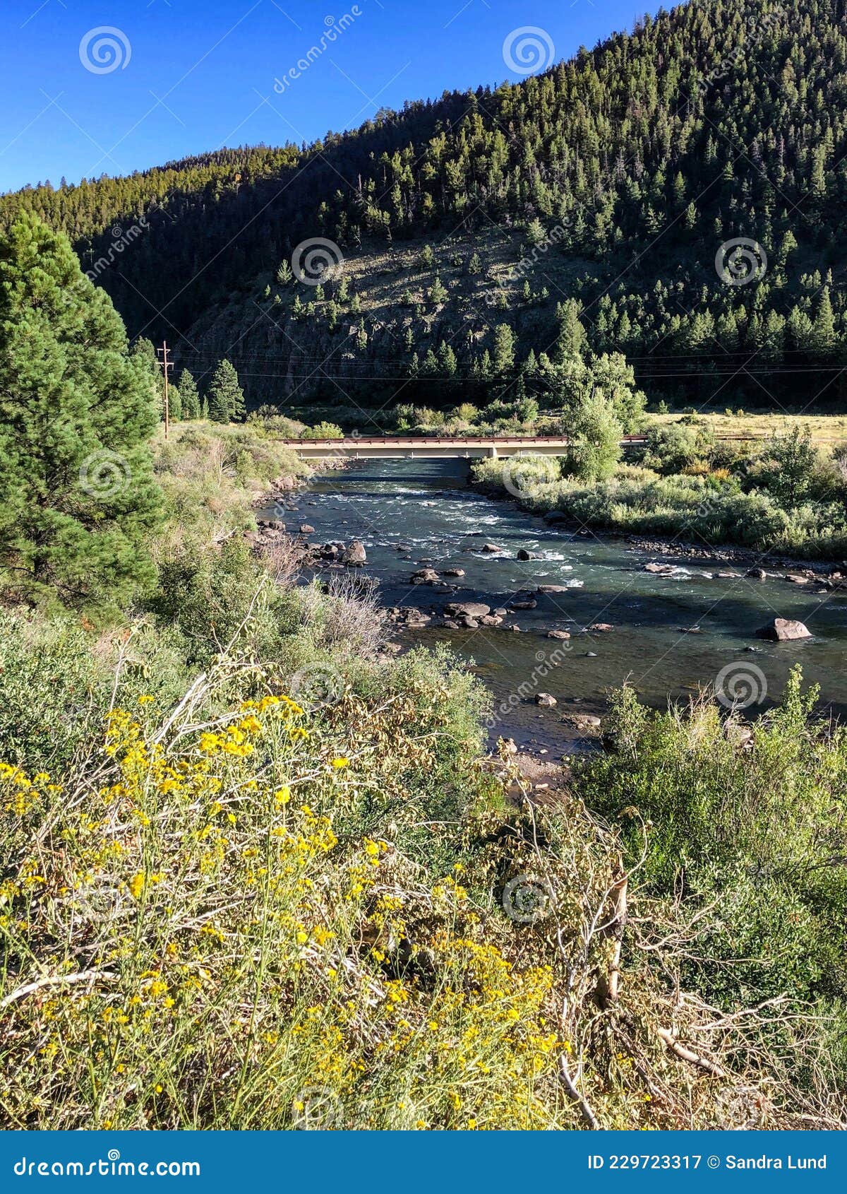 bridge over rio grande river in colorado