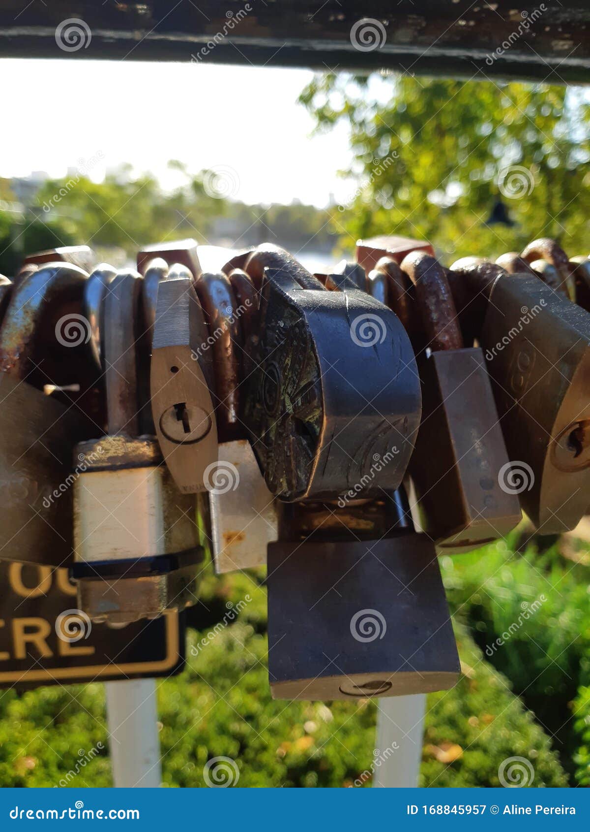 Bridge with Padlock in Perth Stock Image Image of pert, grass 168845957