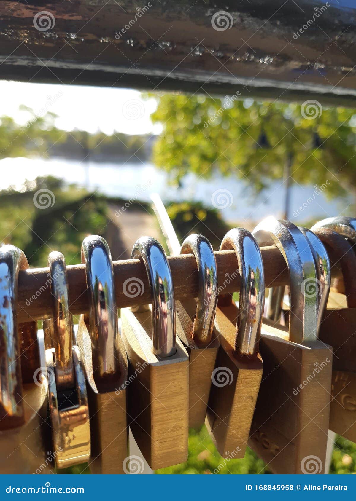 Bridge with Padlock in Perth Stock Photo Image of food, padlock