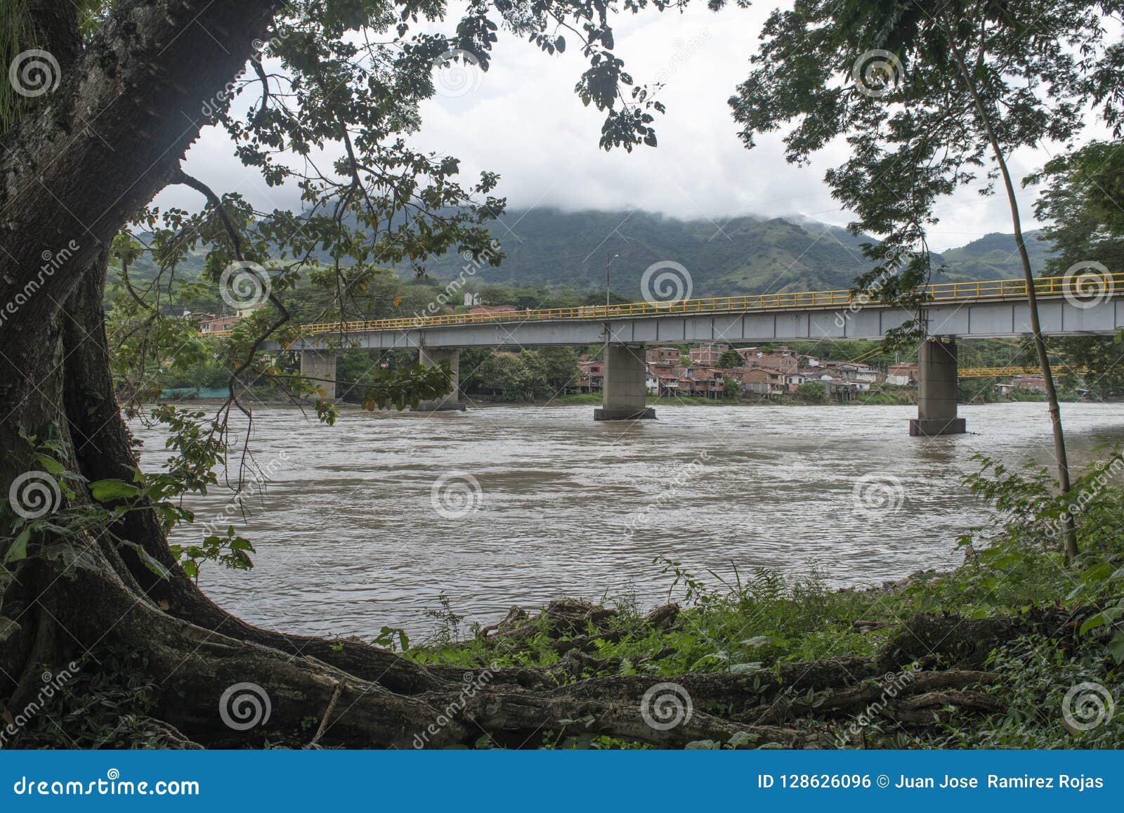 bridge of the pintada antioquia