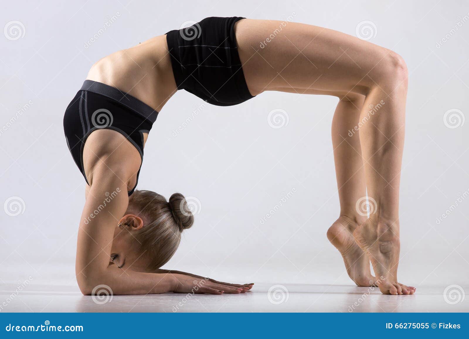 Bridge pose on elbows stock image. Image of aerobic, attractive - 66275055
