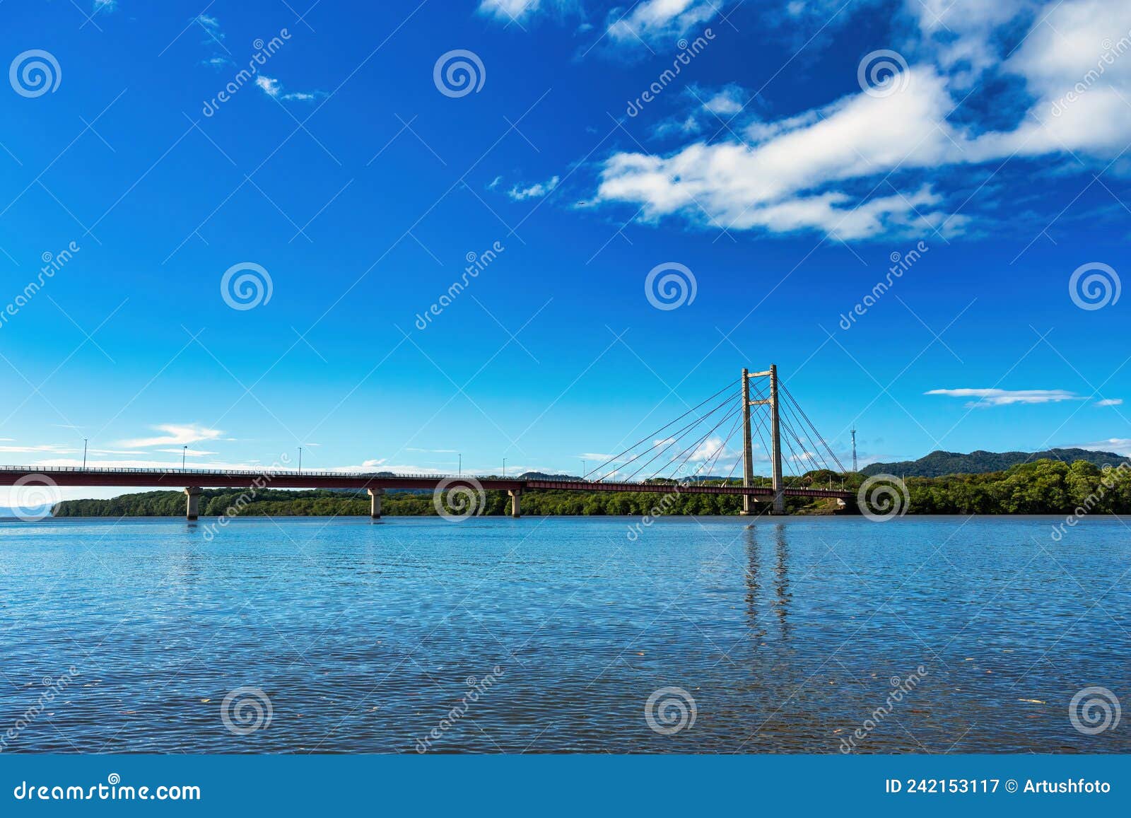 bridge puente la amistad on tempisque river, costa rica