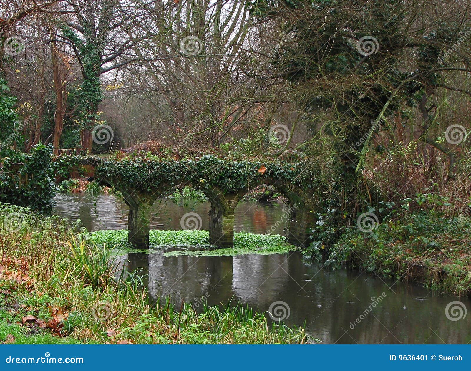 Bridge in Rain stock image. Image of park, winter, water - 9636401, image size:1600x1260