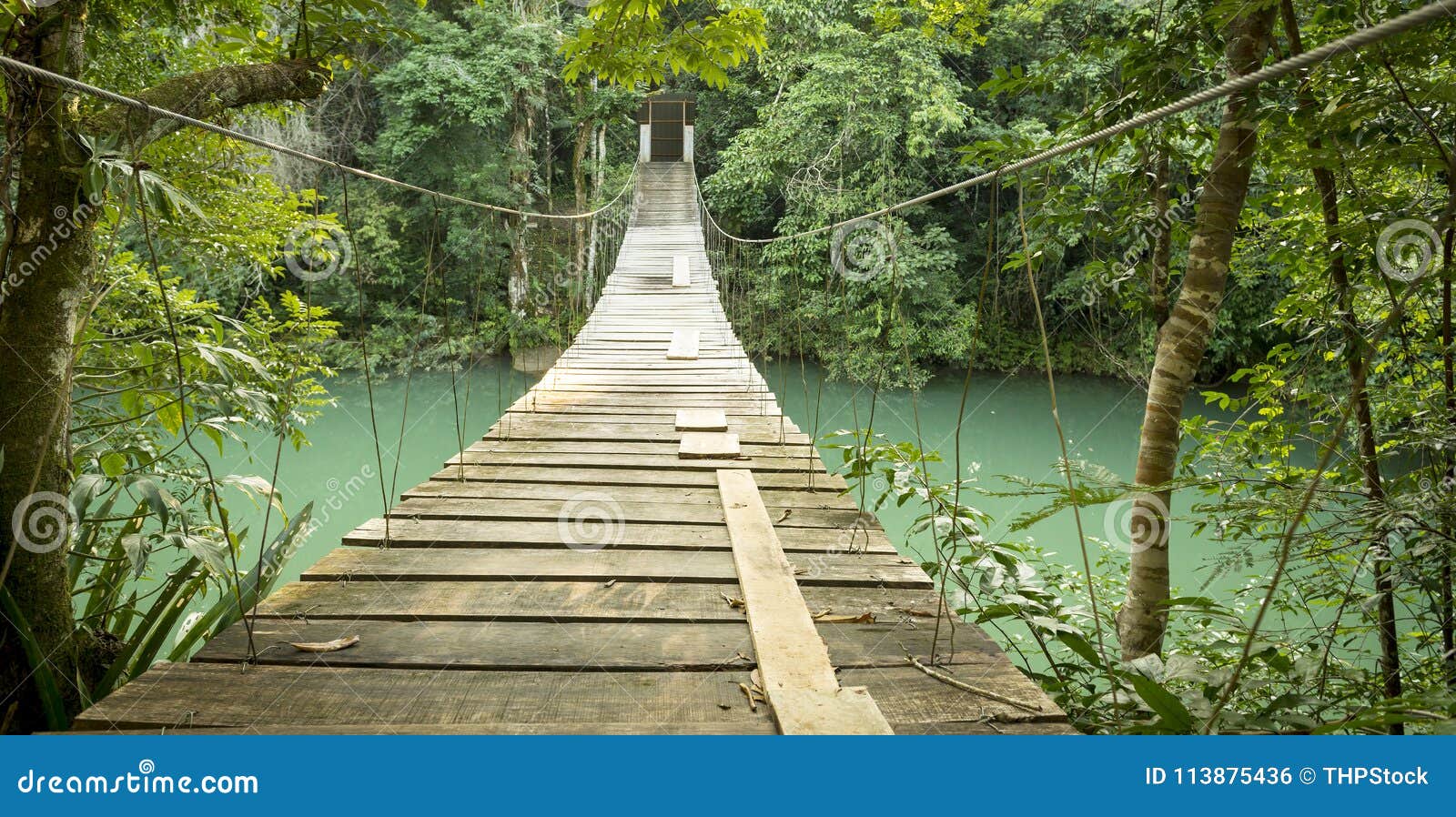 bridge in rio blanco national park belize