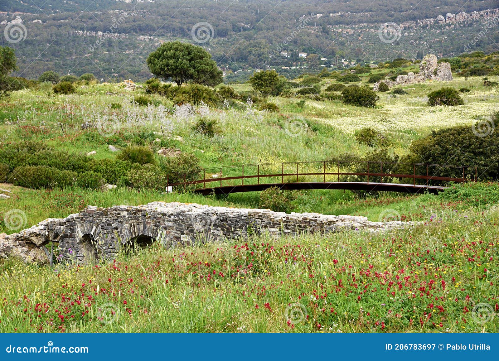 bridge, ruins roman in bolonia beach