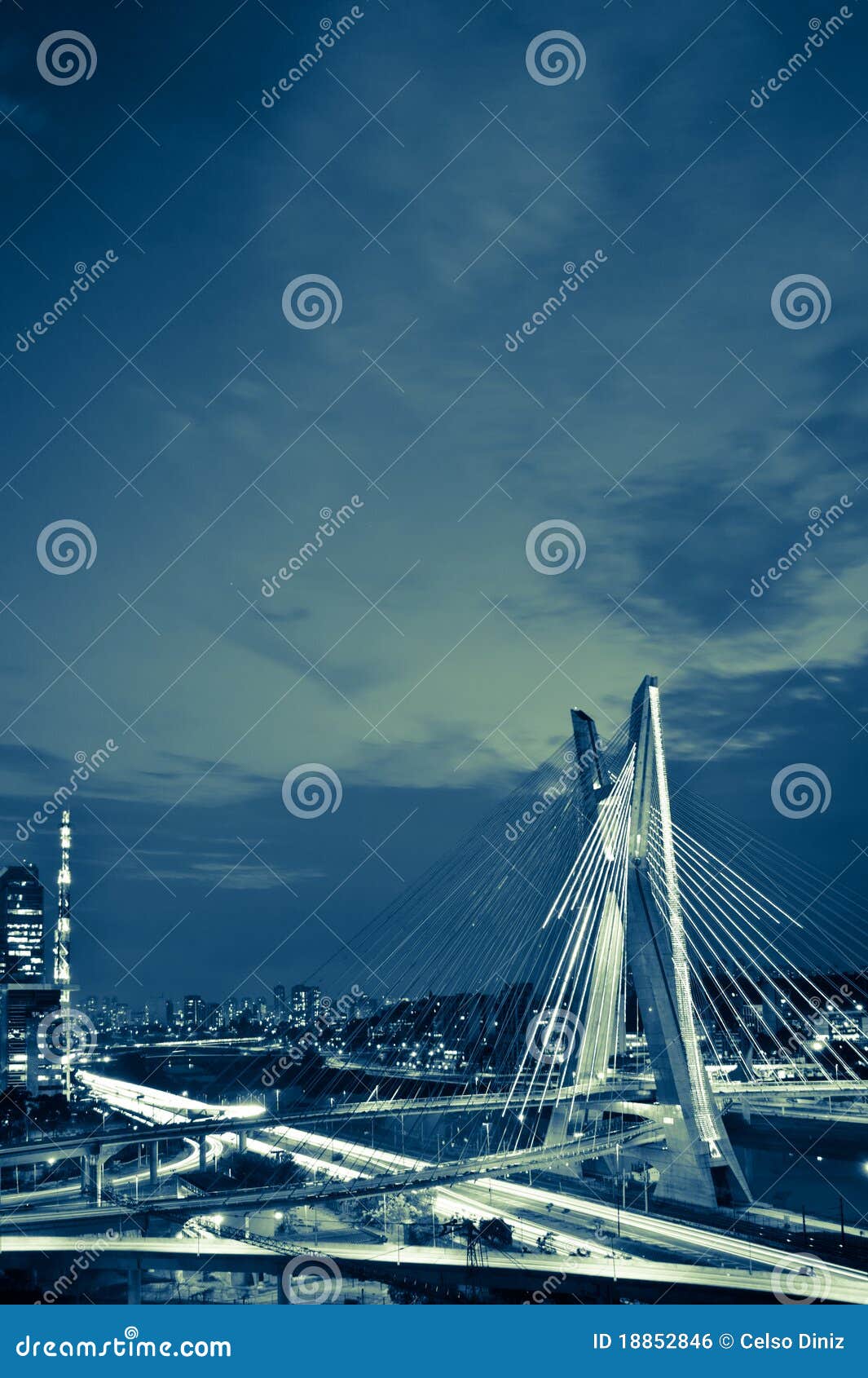 bridge in sao paulo city