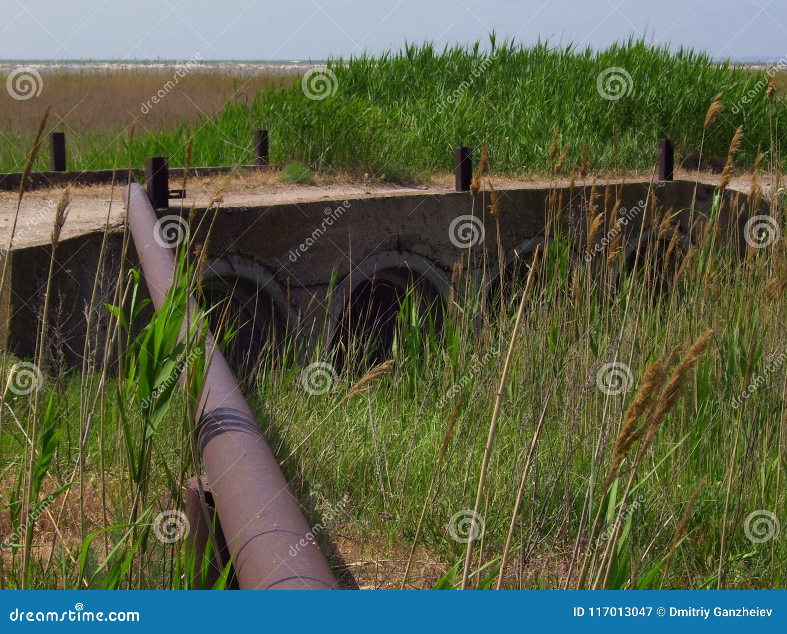 A bridge to the beach stock image. Image of lake, landscape 117013047