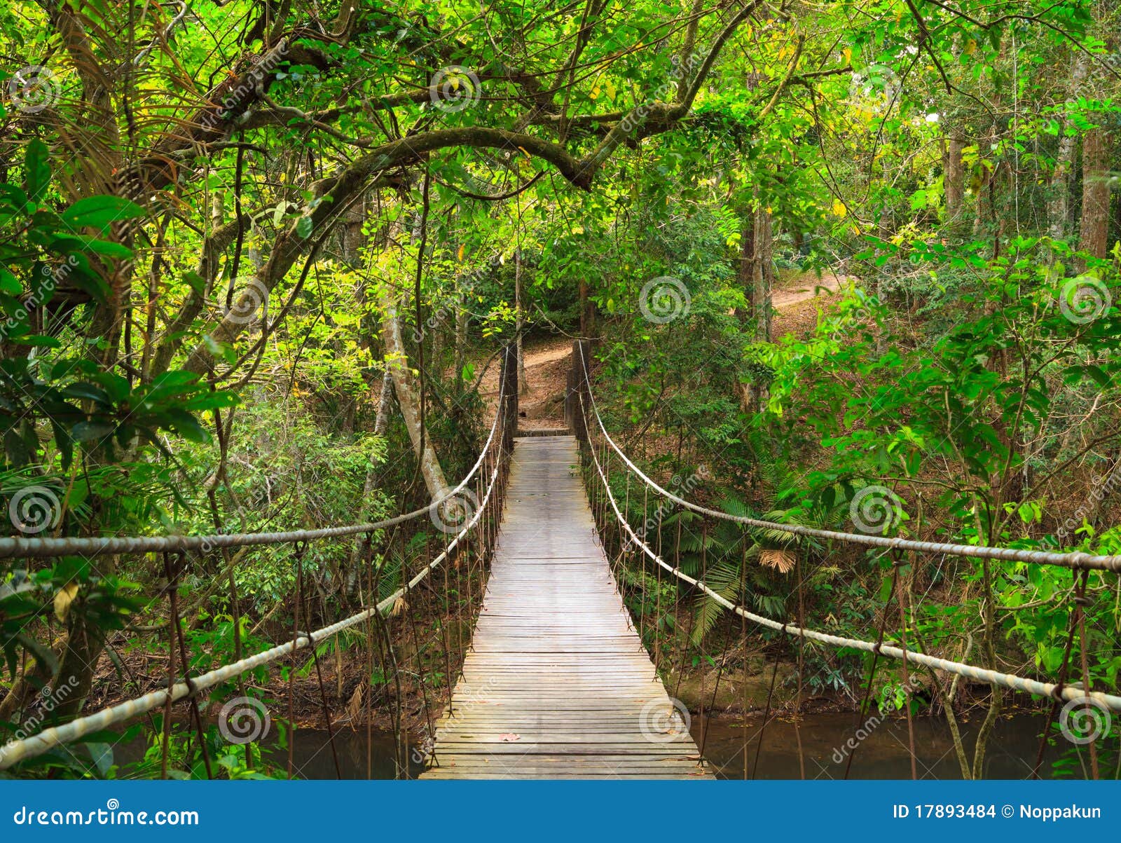 Premium Photo  A bridge in the jungle with a rope bridge in the