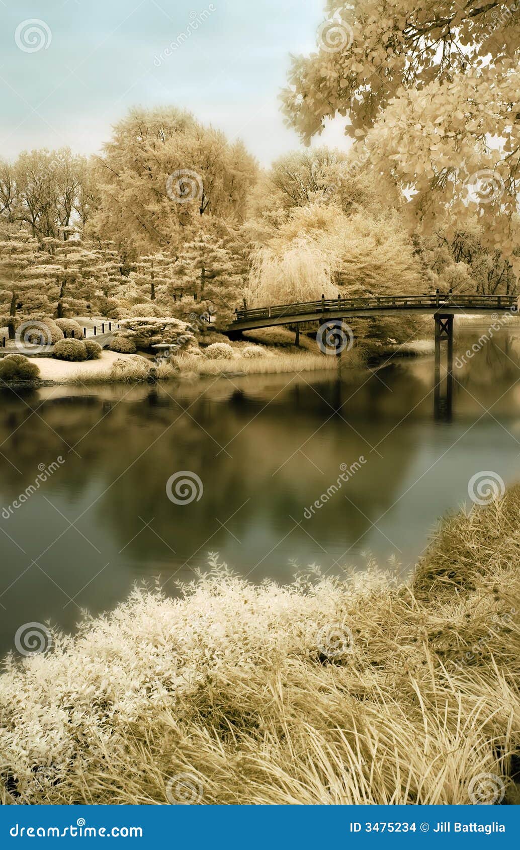Bridge To A Japanese Garden In Stock Photo - Image of plants, outdoor