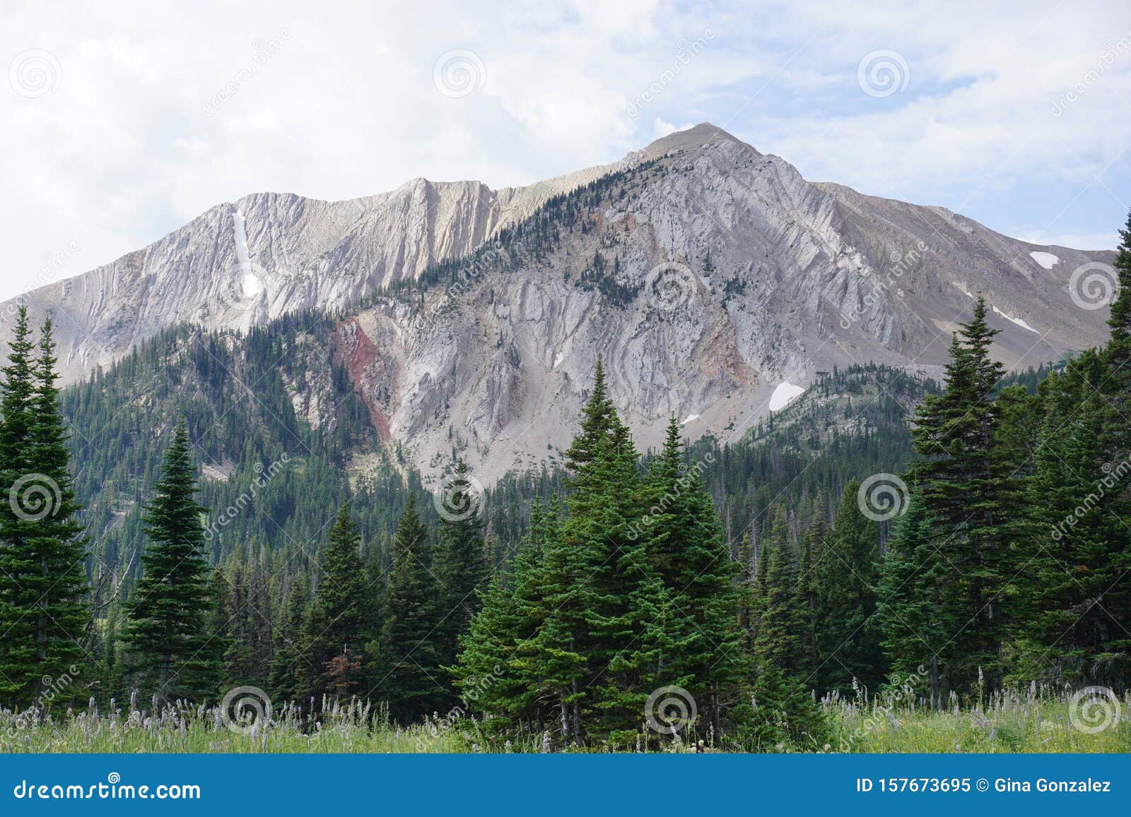 Bridger Mountain Range stock image. Image of mountain 157673695