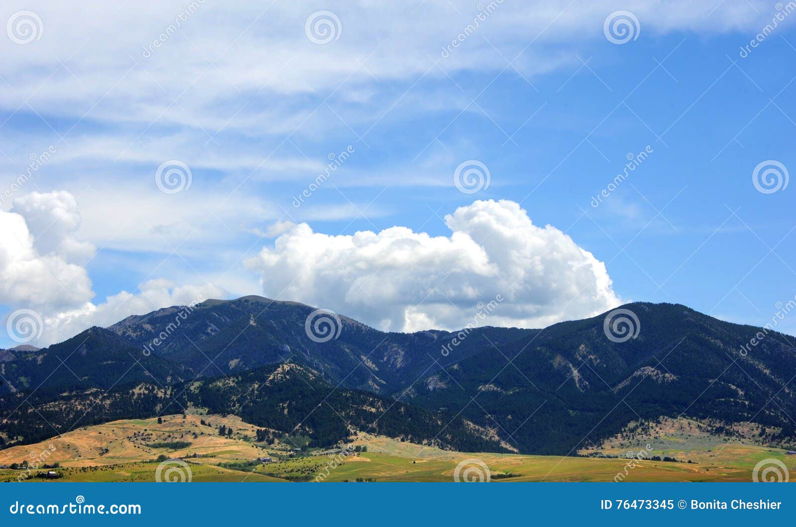 bridger mountain range