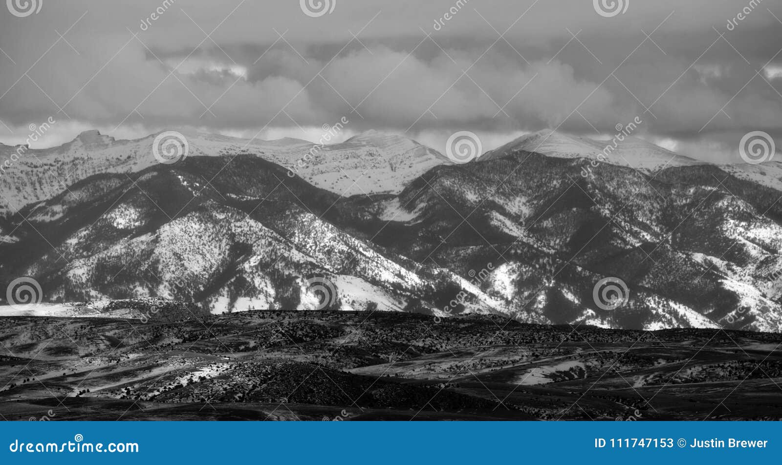 bridger mountains - black and white