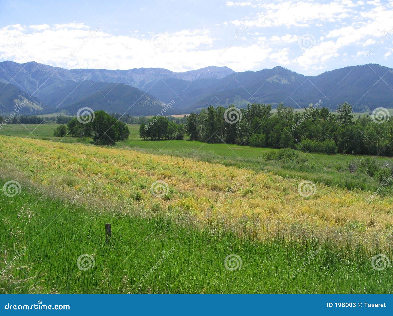 bridger range-springhill 1