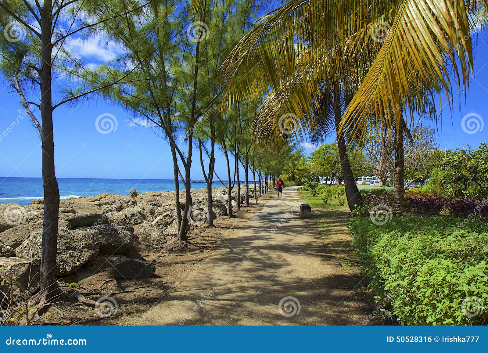 1,700+ Bridgetown Barbados Stock Photos, Pictures & Royalty-Free