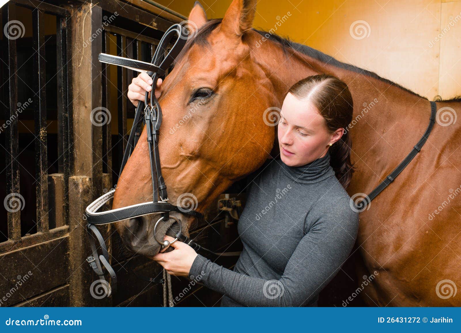 Bridle horse stock photo. Image of halfblooded, farm 26431272