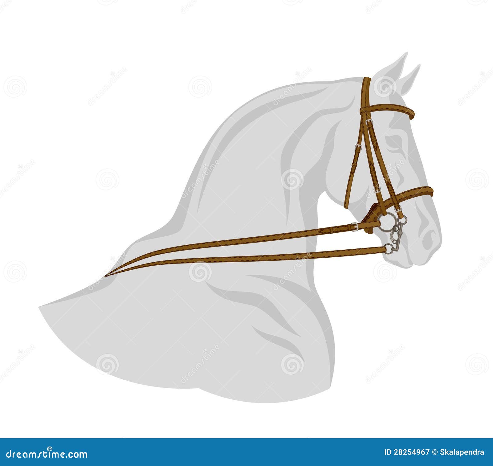 bridle on horse