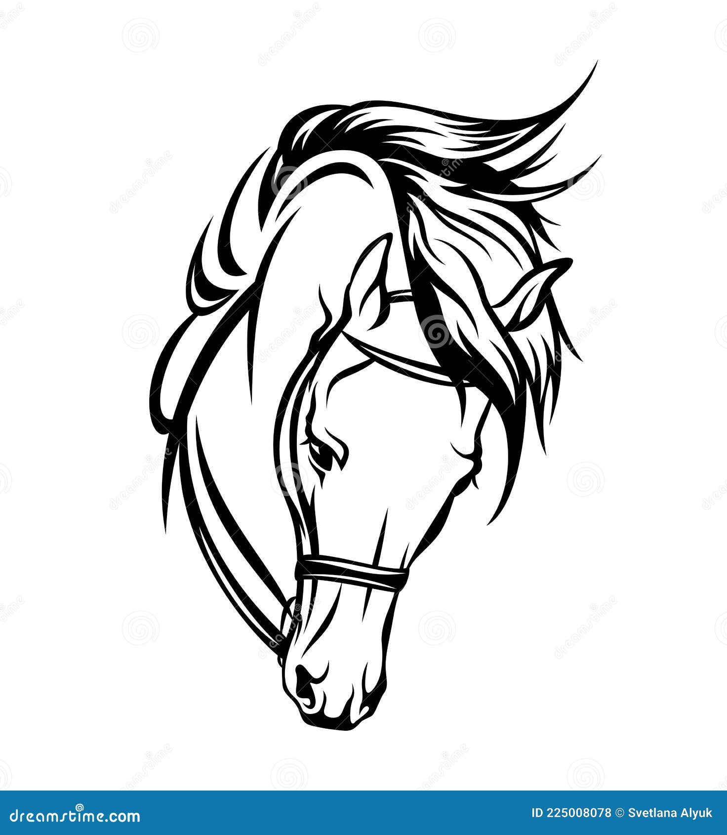 Cavalo de Frente (MAP) - Free Stock Illustrations