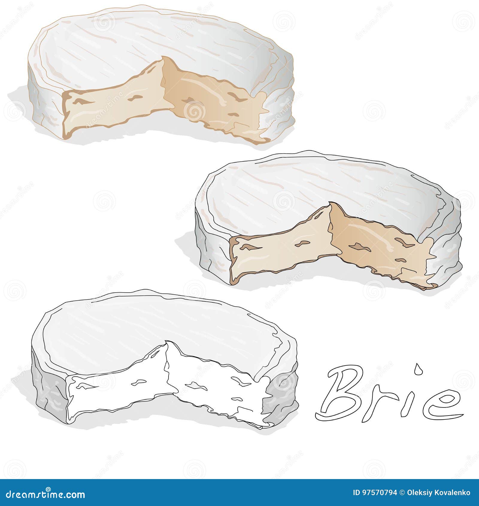 Brie Cheese Vector Isolated Stock Vector Illustration of delicious