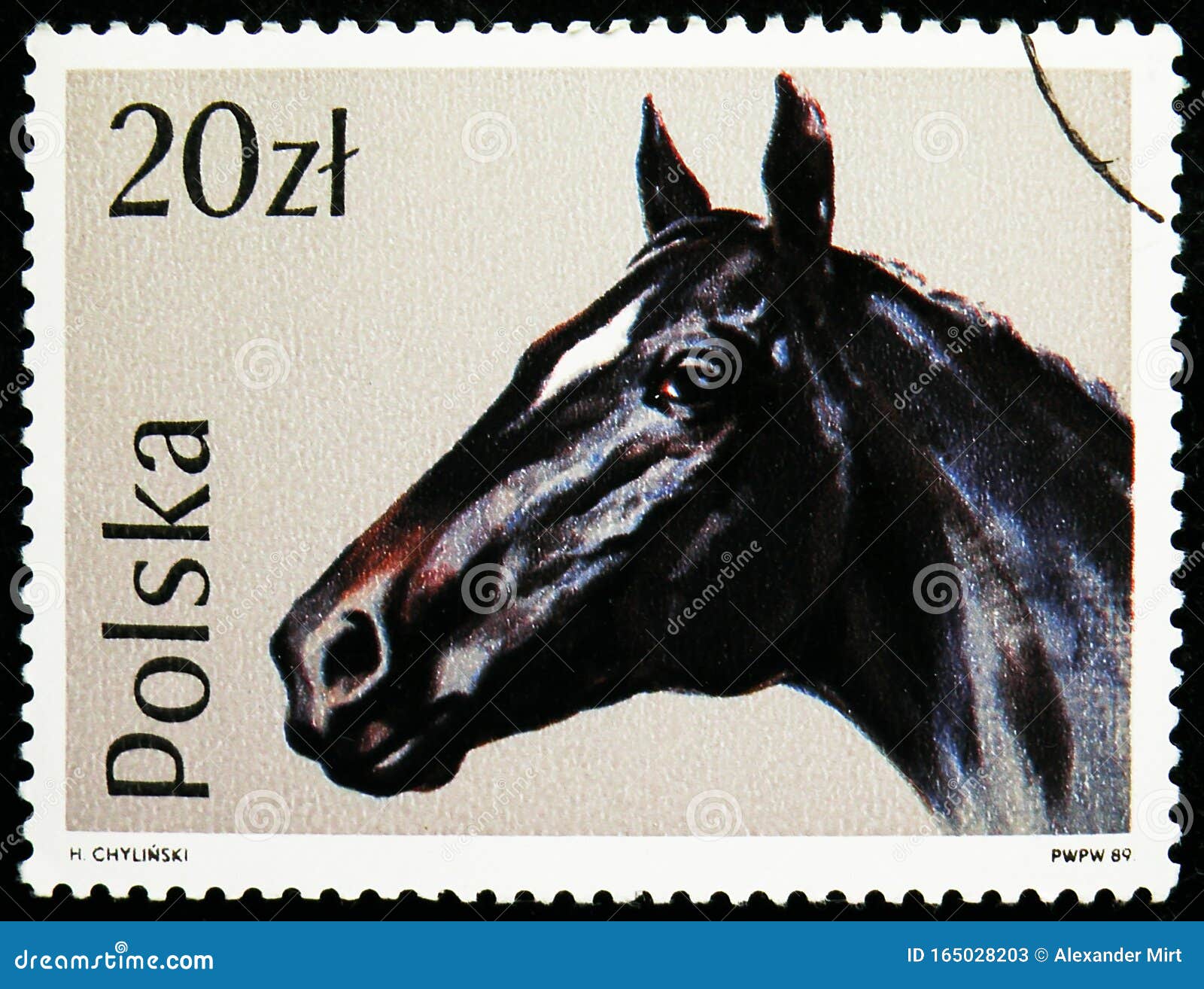 Briefmarken In Polen Zeigen Englisch Thoroughbred Equus Ferus Caballus Pferde Serie Ca 19 Redaktionelles Stockfoto Bild Von Englisch Historisch