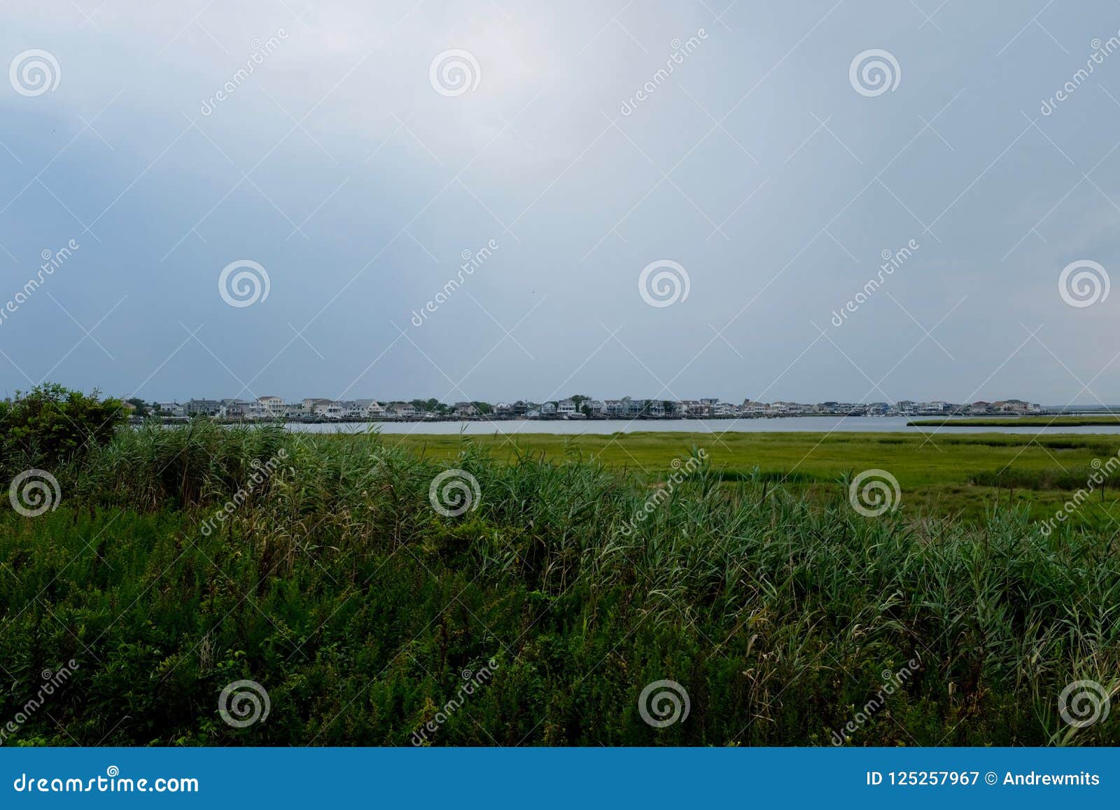 brigantine bay marsh and tidal wetlands on new jersey coast