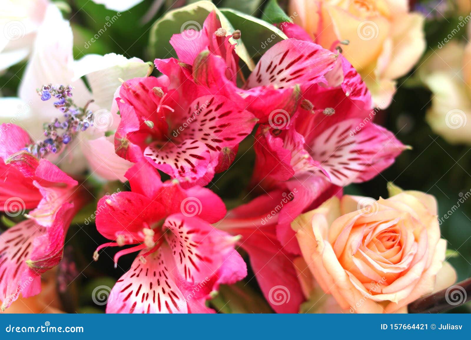 Bright Background of Different Flowers in Bouquet Stock Image Image