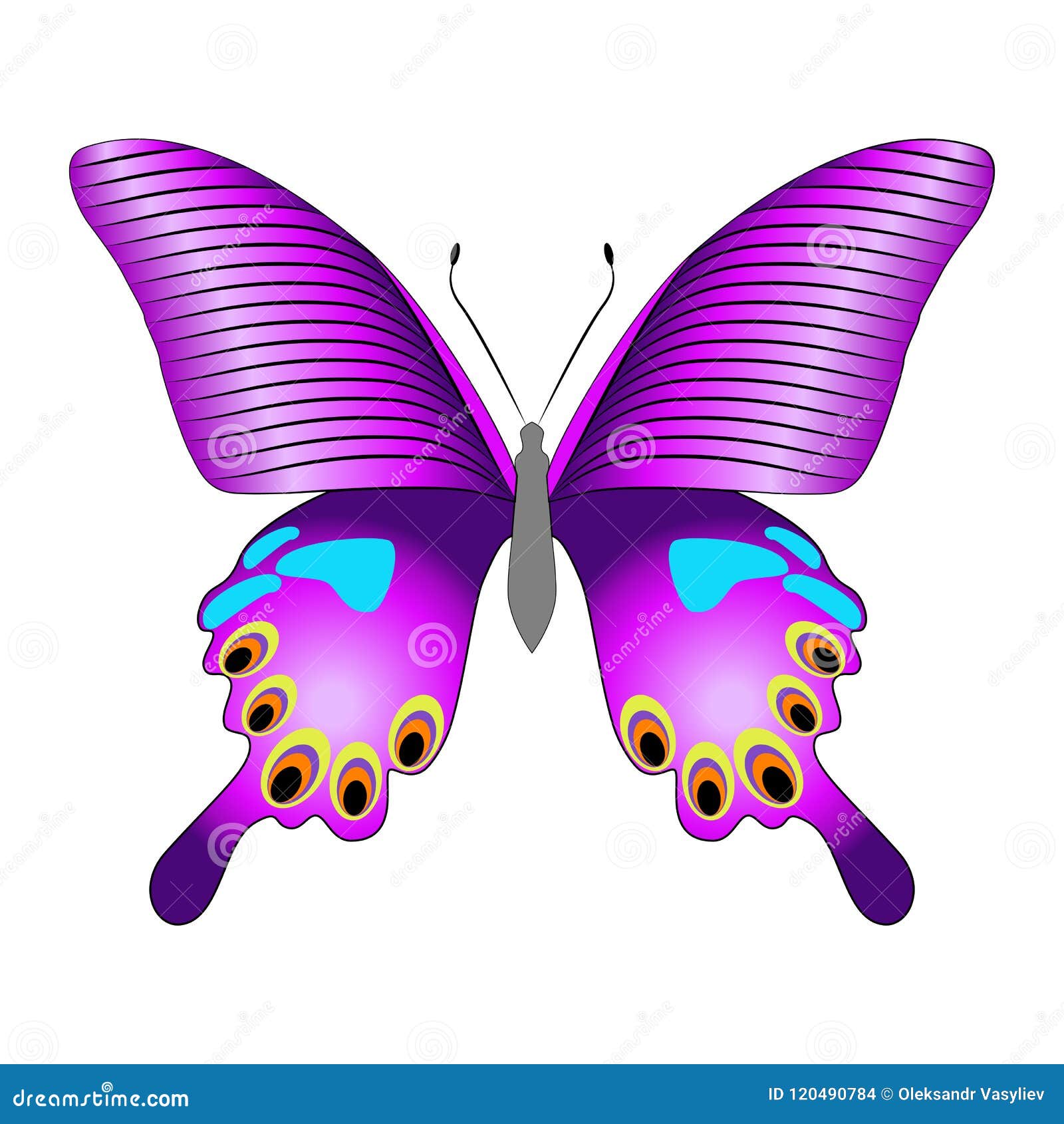 Download Bright Beautiful Purple Butterfly. Vector Illustration ...