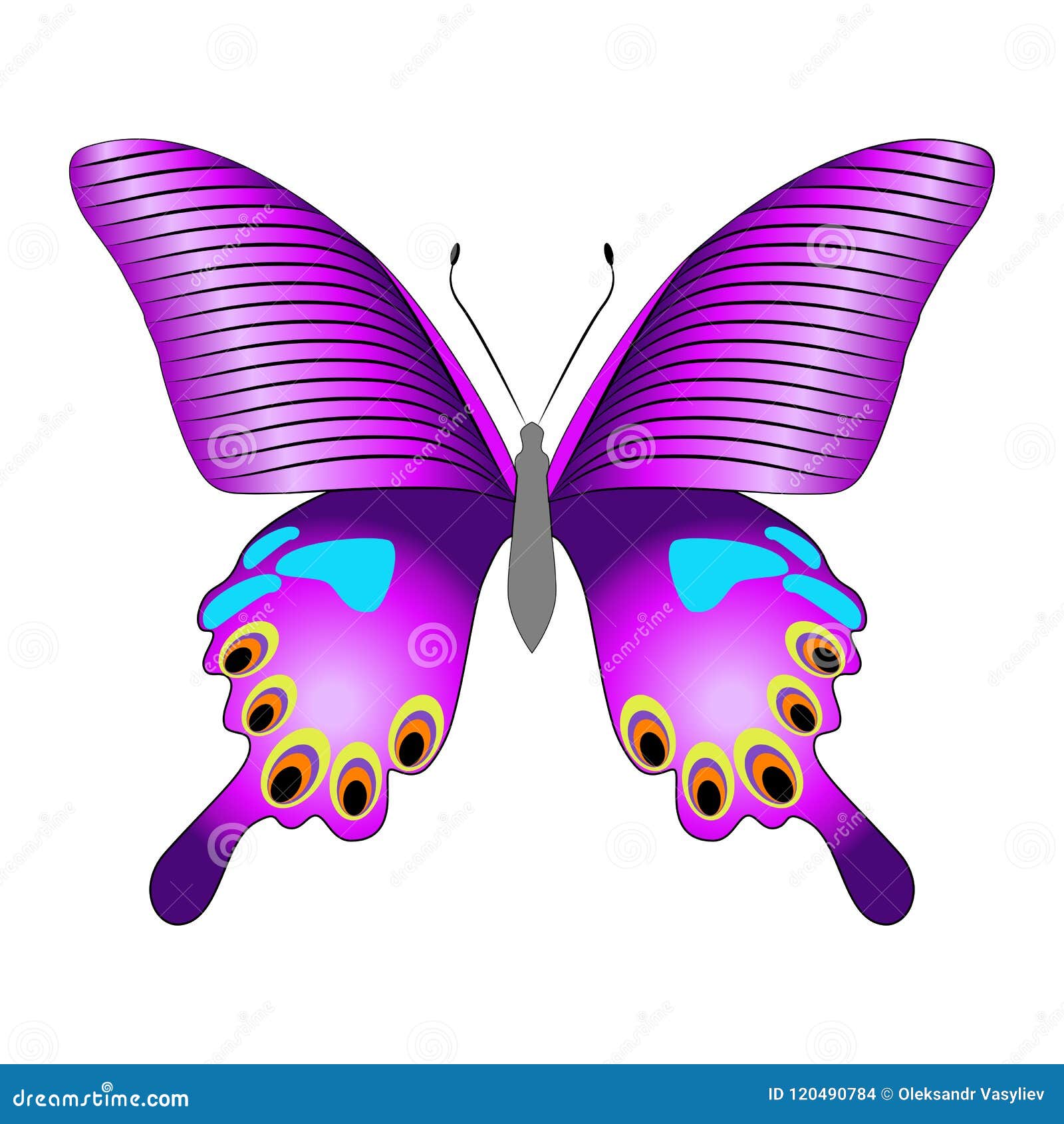 Free Free Butterfly Purple Svg 62 SVG PNG EPS DXF File