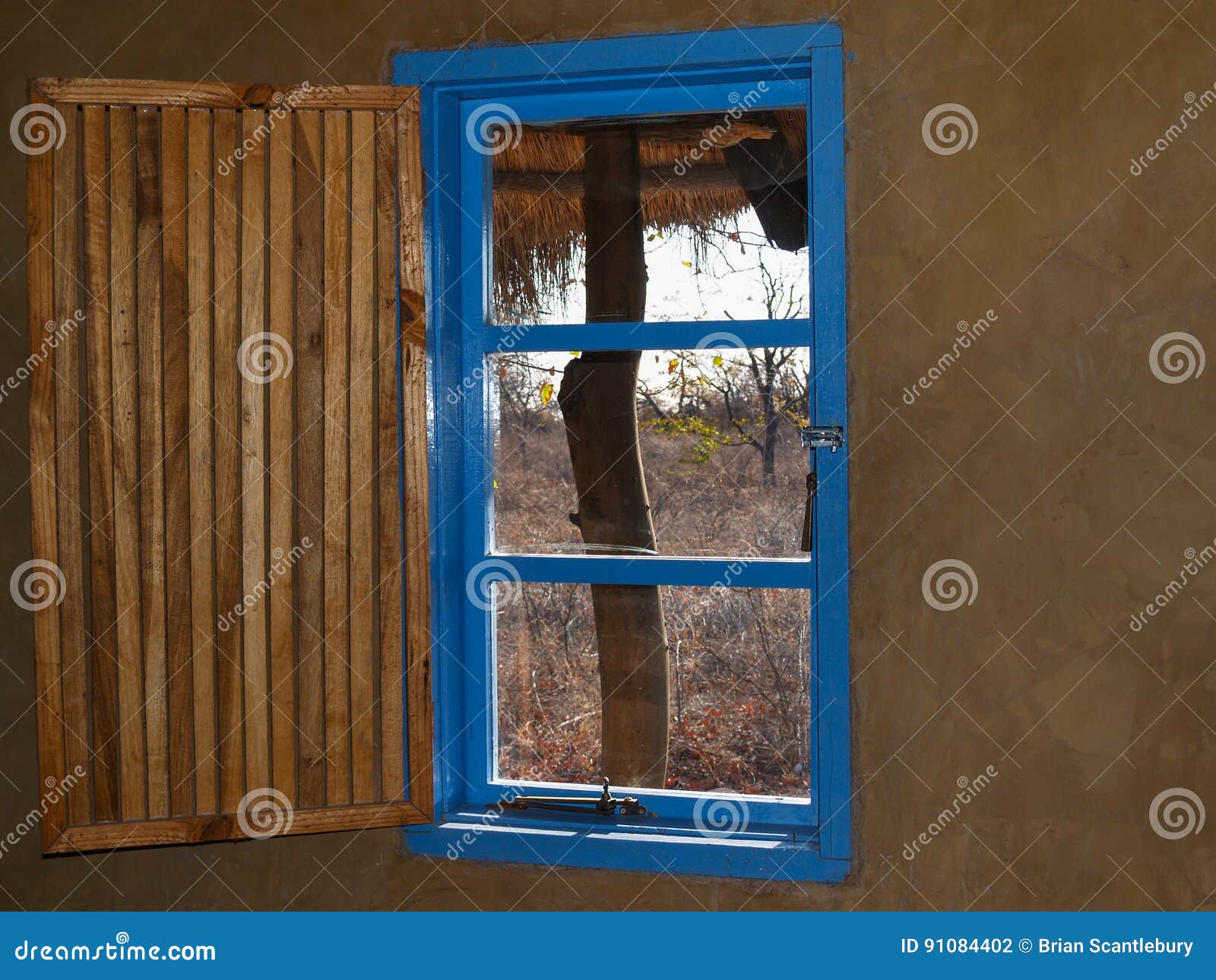 bright blue window with open slat slat wooeden shutter and view