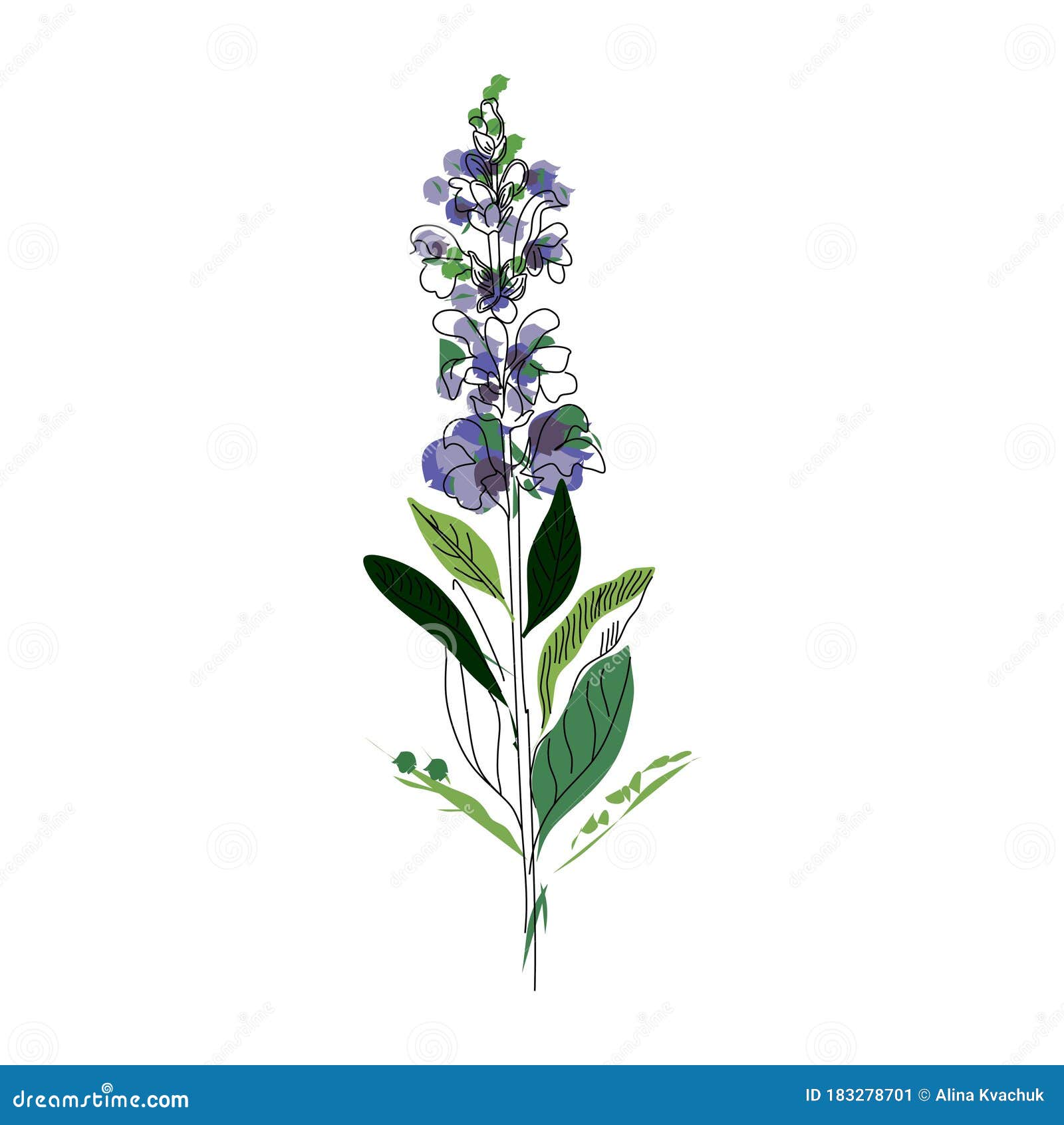 bright branch of sage or botanica sage  lilac. can be used for cards, invitations, banners, posters