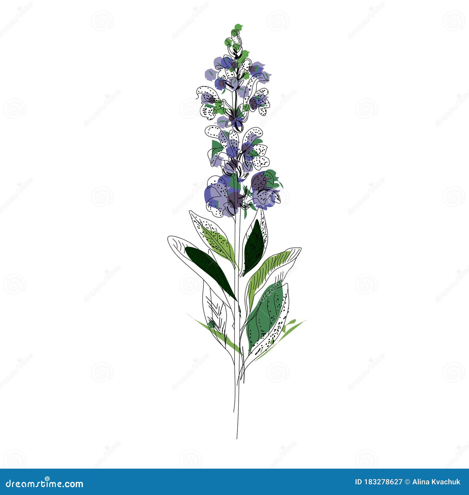 bright branch of sage or botanica sage  lilac.n