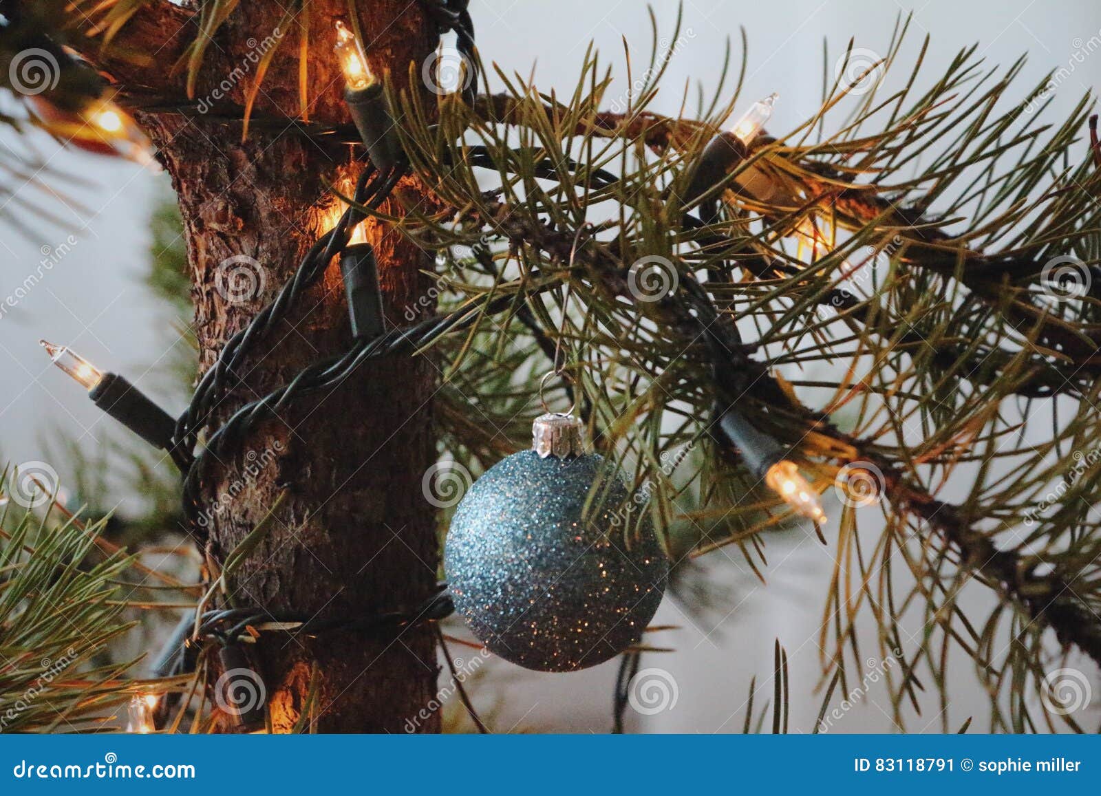 Bright Christmas stock image. Image of lights, christmas 83118791