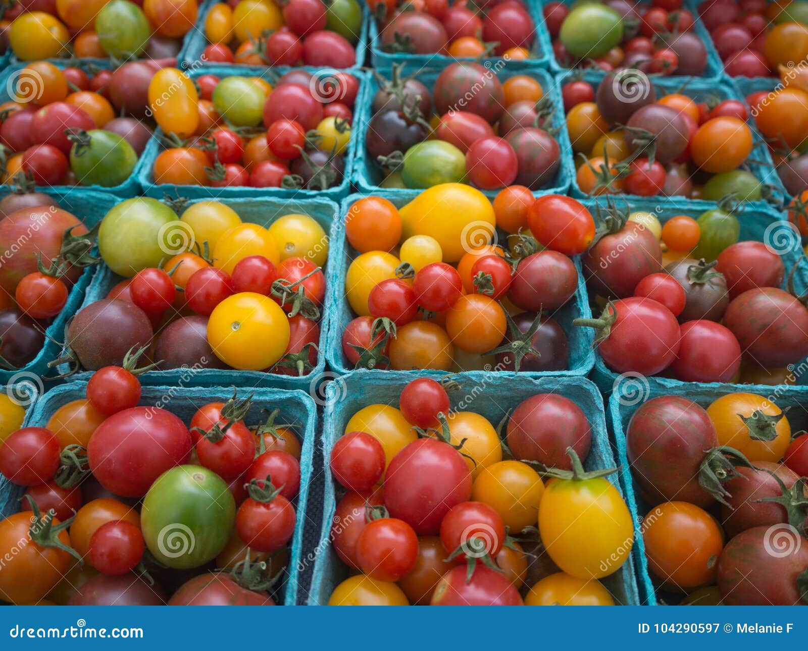 Fresh colorful tomatoes stock image. Image of yellow - 104290597