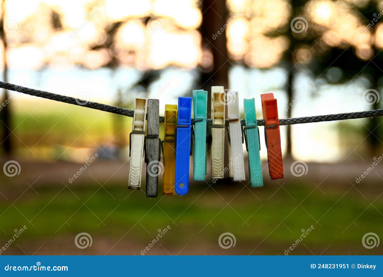 Bright Coloured Pins on Clothes Line in Forest with Copy Space Stock
