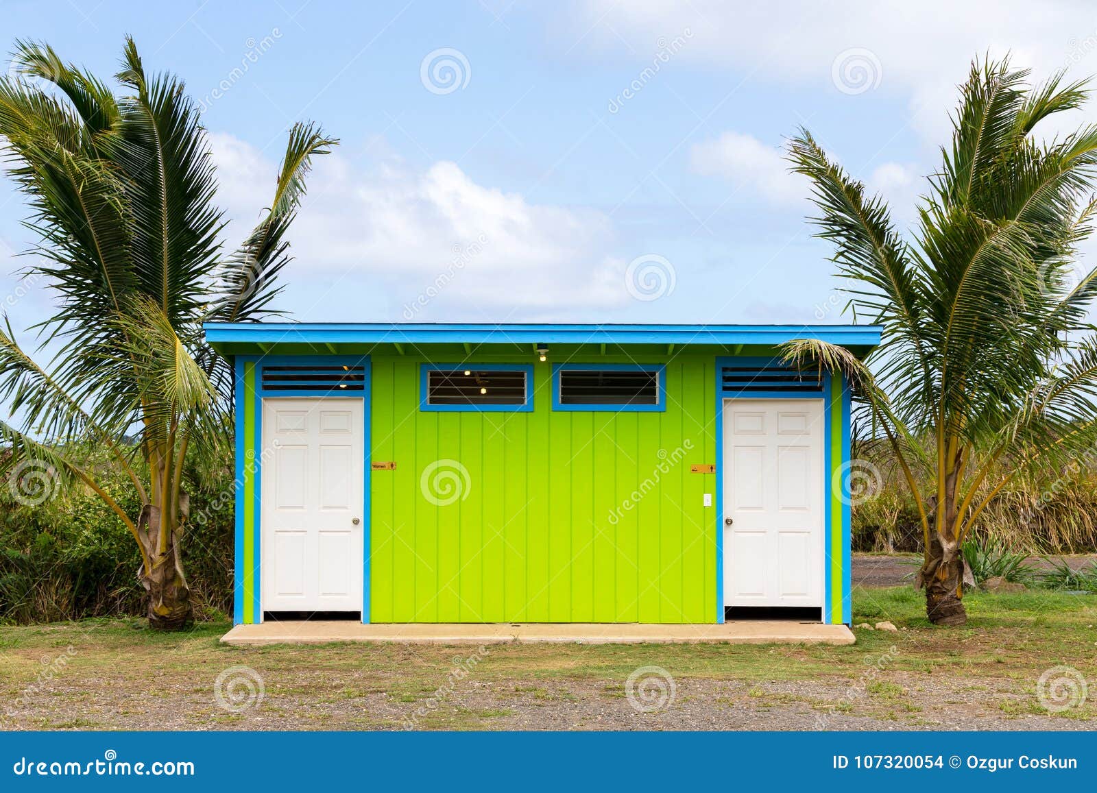 Bright Colourful Restroom Facility Oahu Hawaii Stock Photo Image Of Cloakroom Trees 107320054