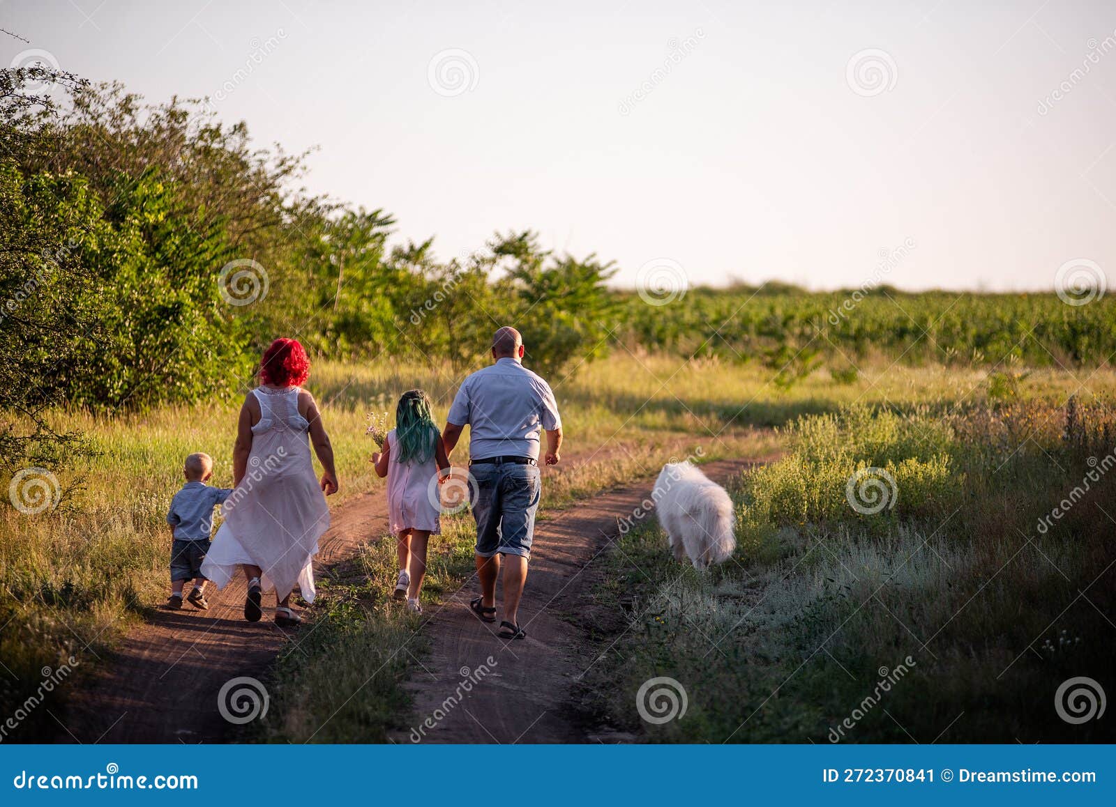 Bright Diversity Family Walks On The Paths In Field With Samoyed Dog Traveling With Pets Stock Bright Diversity Family Walks On The Paths In Field With Samoyed Dog Traveling With Pets Stock