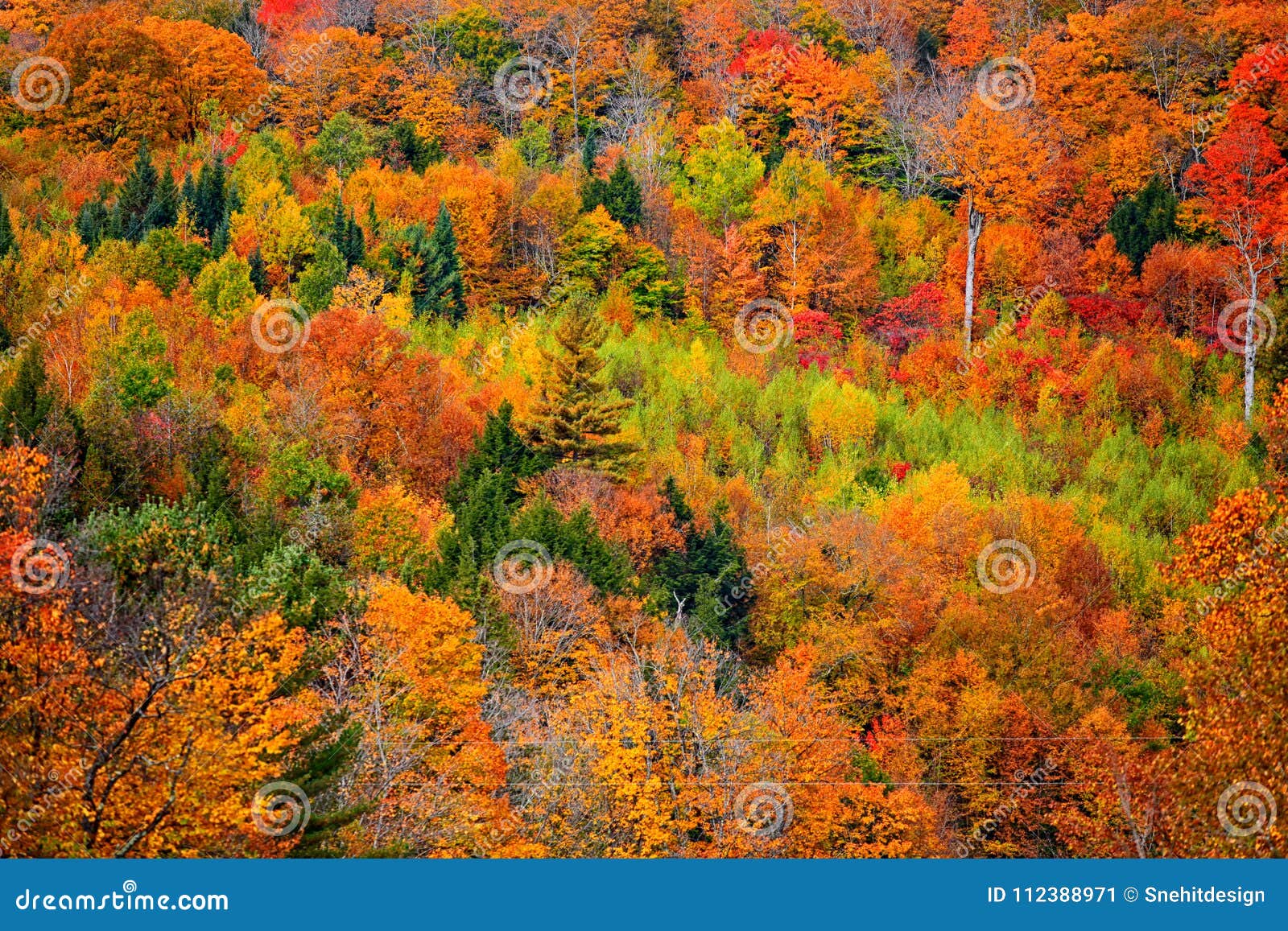 bright fall foliage in vermont mountains