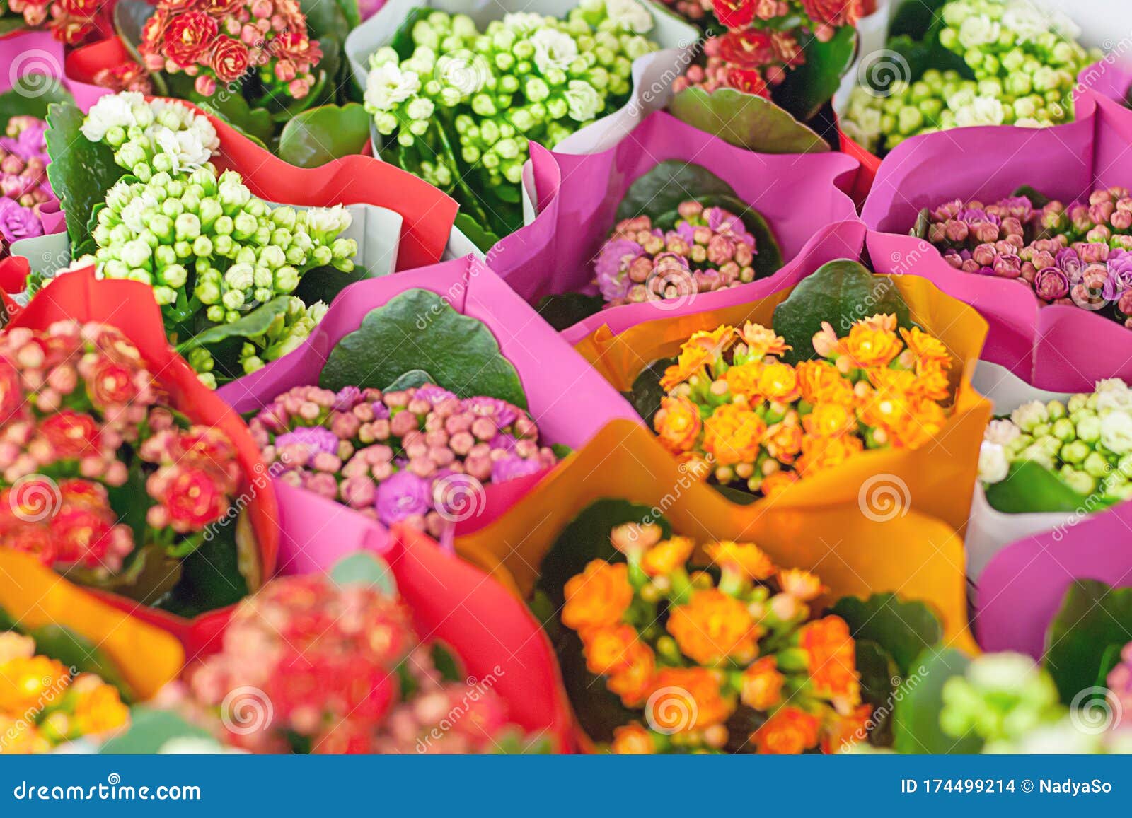 Bright Floral Background of Colorful Bouquets in Flower Market Stock ...