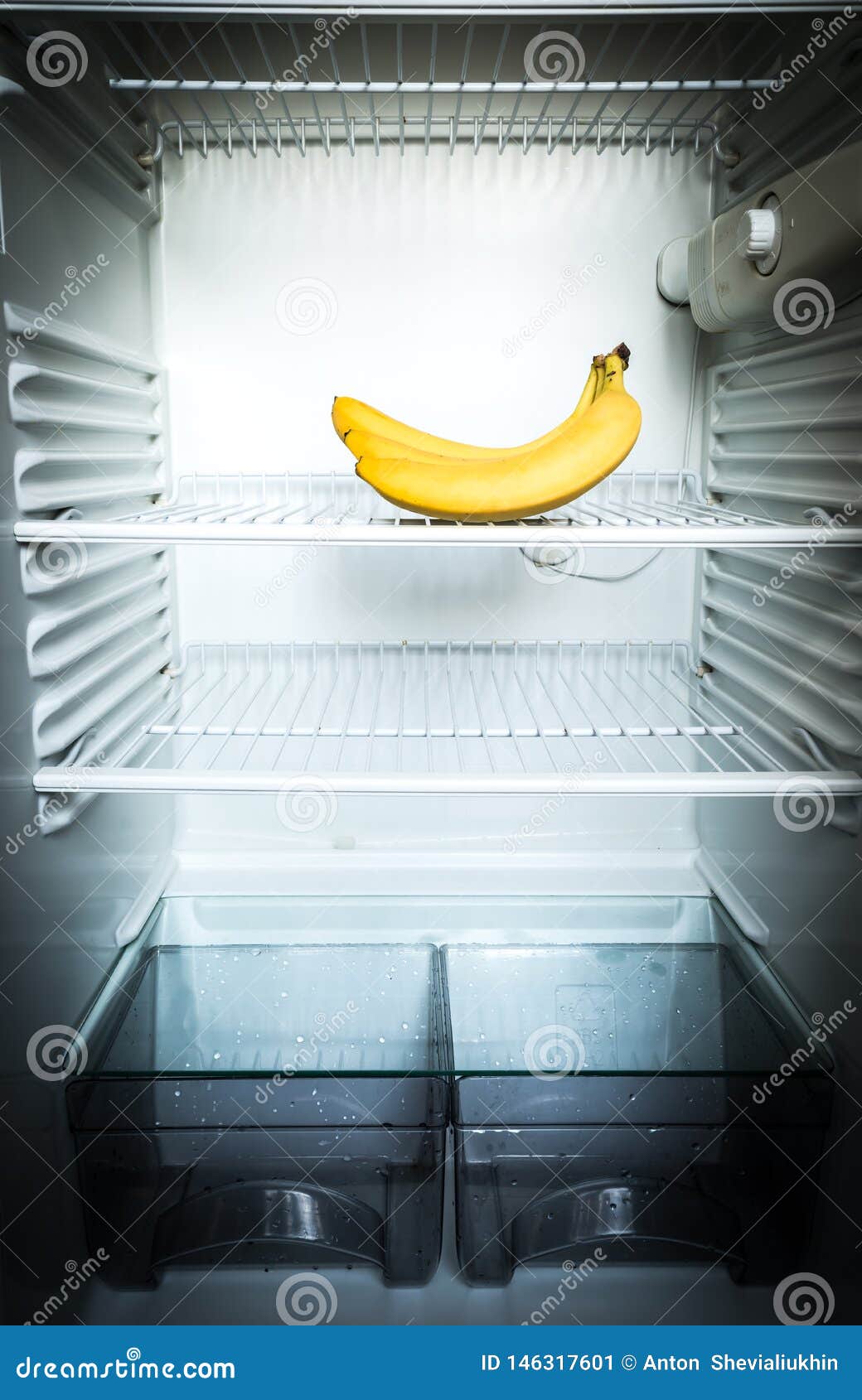 Bright Fresh Bananas on Shelf of Open Empty Refrigerator. Weight Loss