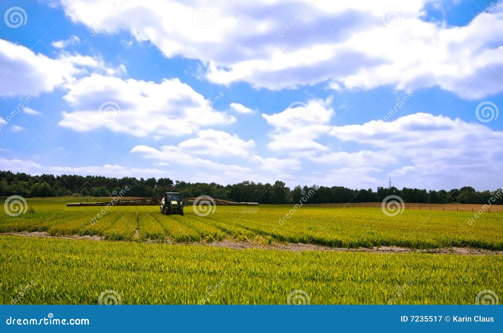 Bright Green Agriculture Farmland Stock Image Image of rural, green