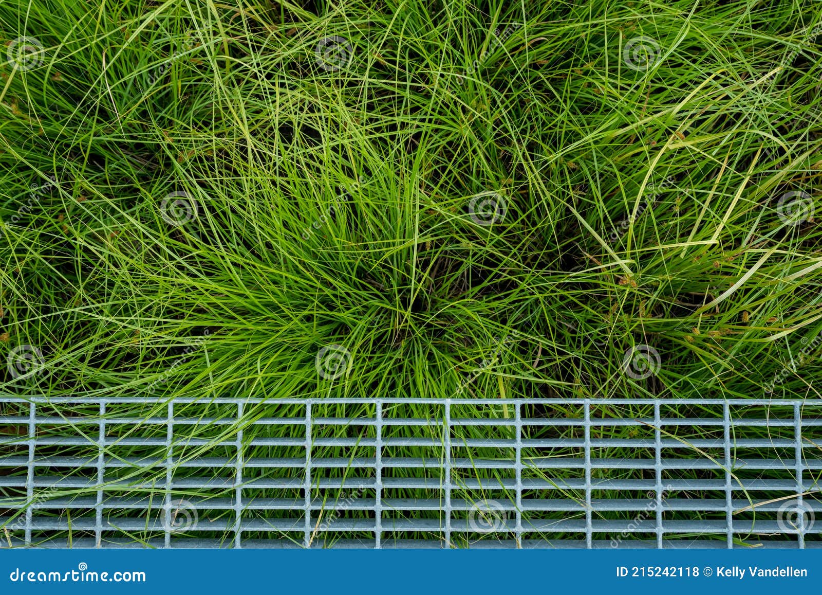 Bright Green Fluffy Grass Below Metal Walkway Stock Photo Image of