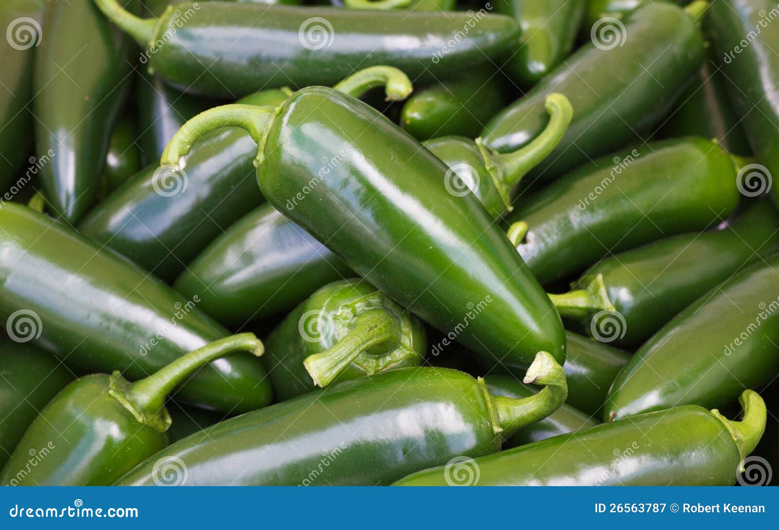 bright green jalapeno peppers